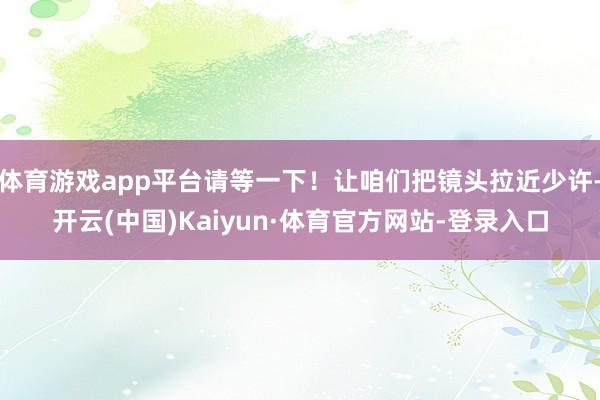体育游戏app平台请等一下！让咱们把镜头拉近少许-开云(中国)Kaiyun·体育官方网站-登录入口