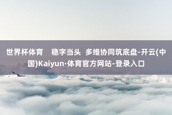 世界杯体育    稳字当头  多维协同筑底盘-开云(中国)Kaiyun·体育官方网站-登录入口