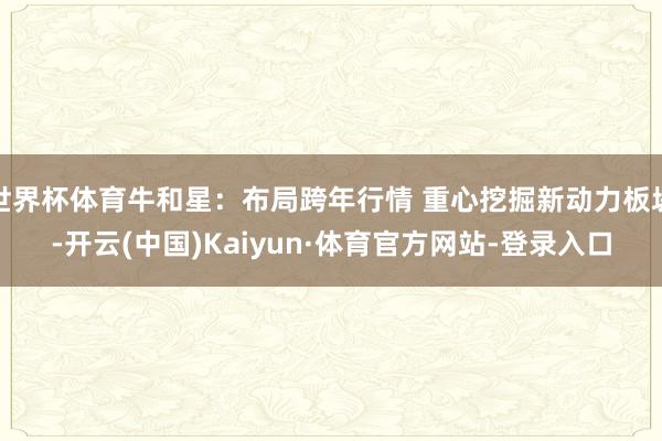 世界杯体育牛和星：布局跨年行情 重心挖掘新动力板块-开云(中国)Kaiyun·体育官方网站-登录入口